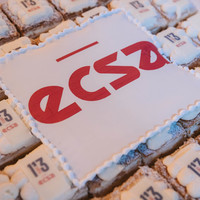 0295 ecsa 18092026